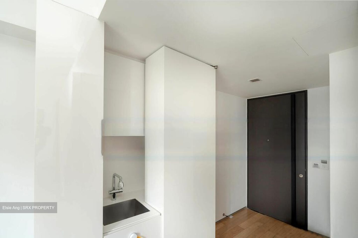 Skysuites@Anson (D2), Apartment #478069401